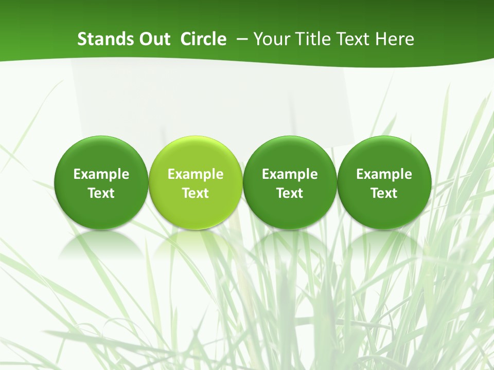 White Grass Dew PowerPoint Template