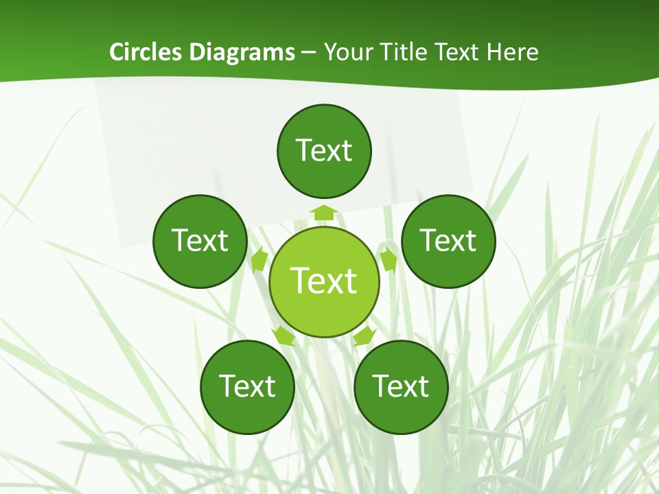 White Grass Dew PowerPoint Template