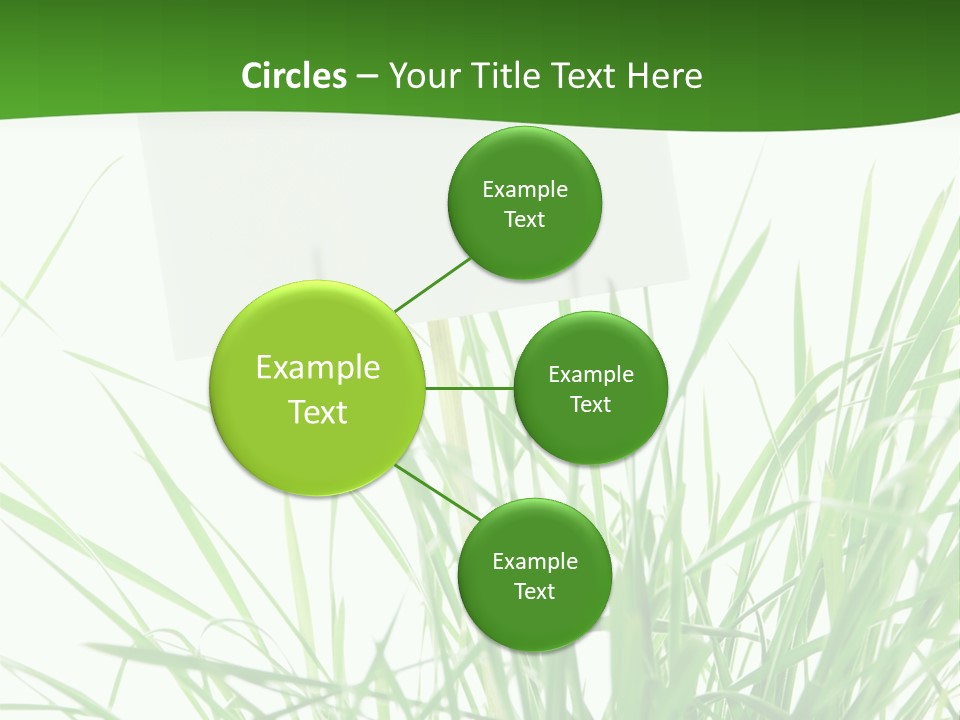 White Grass Dew PowerPoint Template