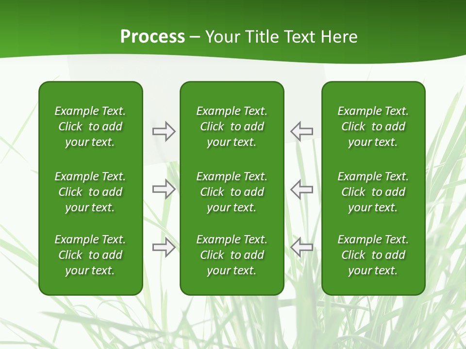 White Grass Dew PowerPoint Template