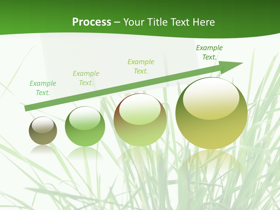 White Grass Dew PowerPoint Template