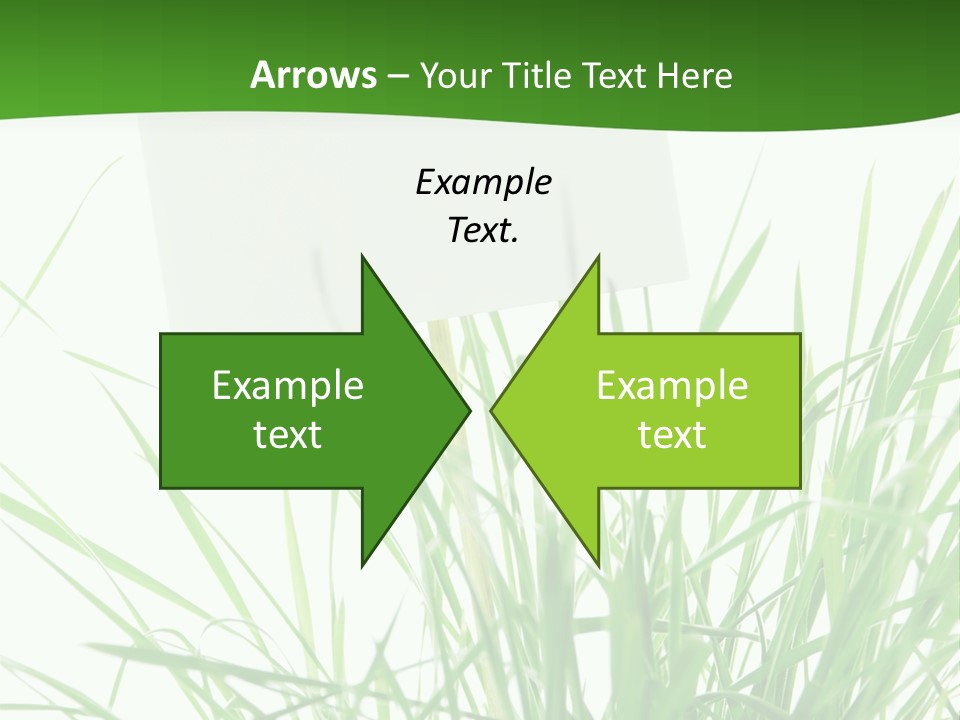 White Grass Dew PowerPoint Template