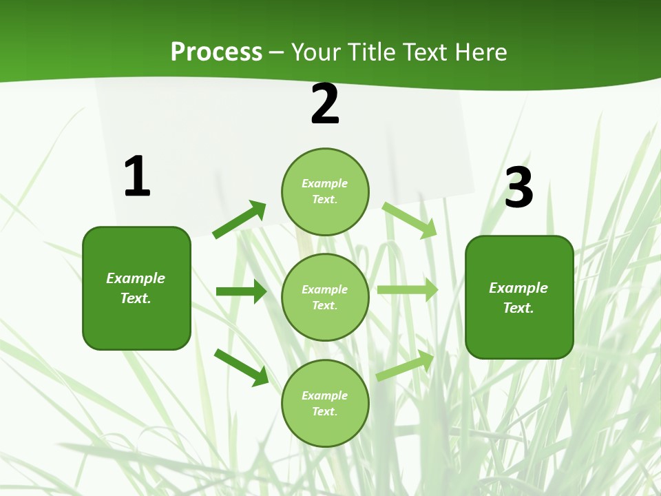 White Grass Dew PowerPoint Template