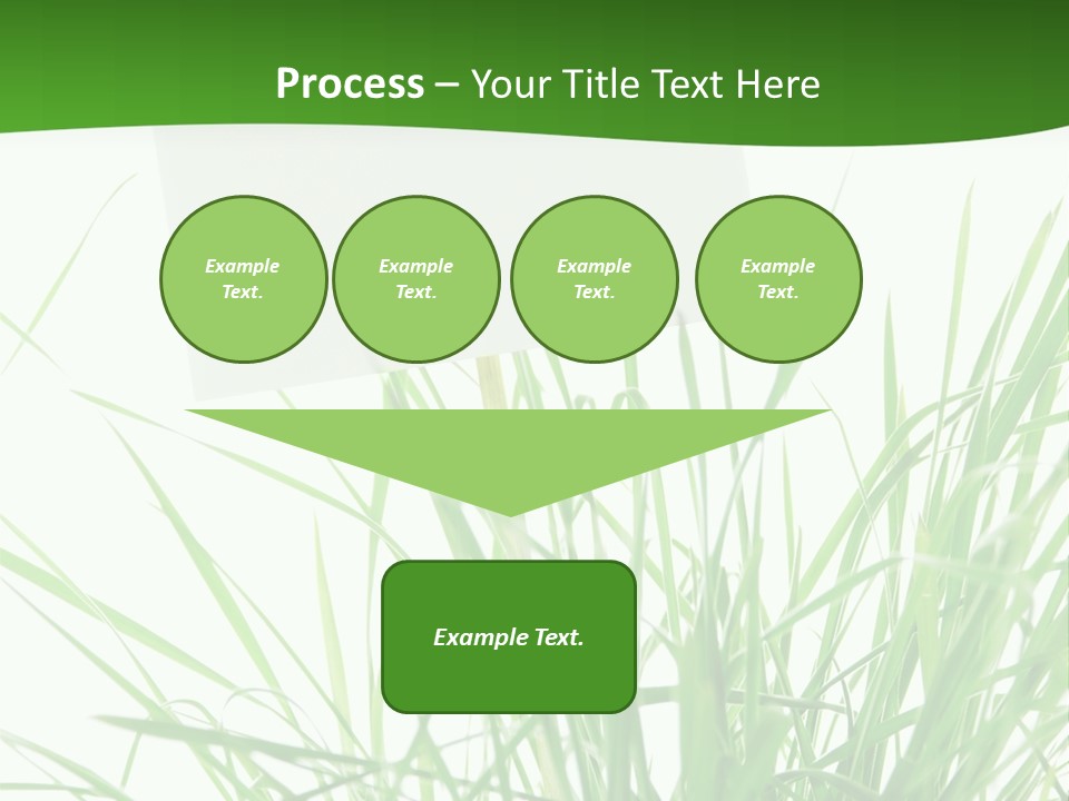 White Grass Dew PowerPoint Template