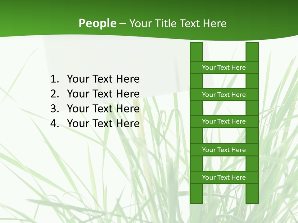 White Grass Dew PowerPoint Template