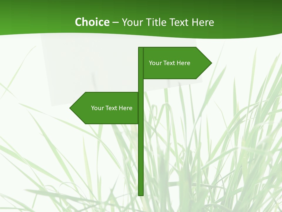 White Grass Dew PowerPoint Template