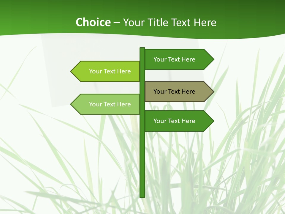 White Grass Dew PowerPoint Template