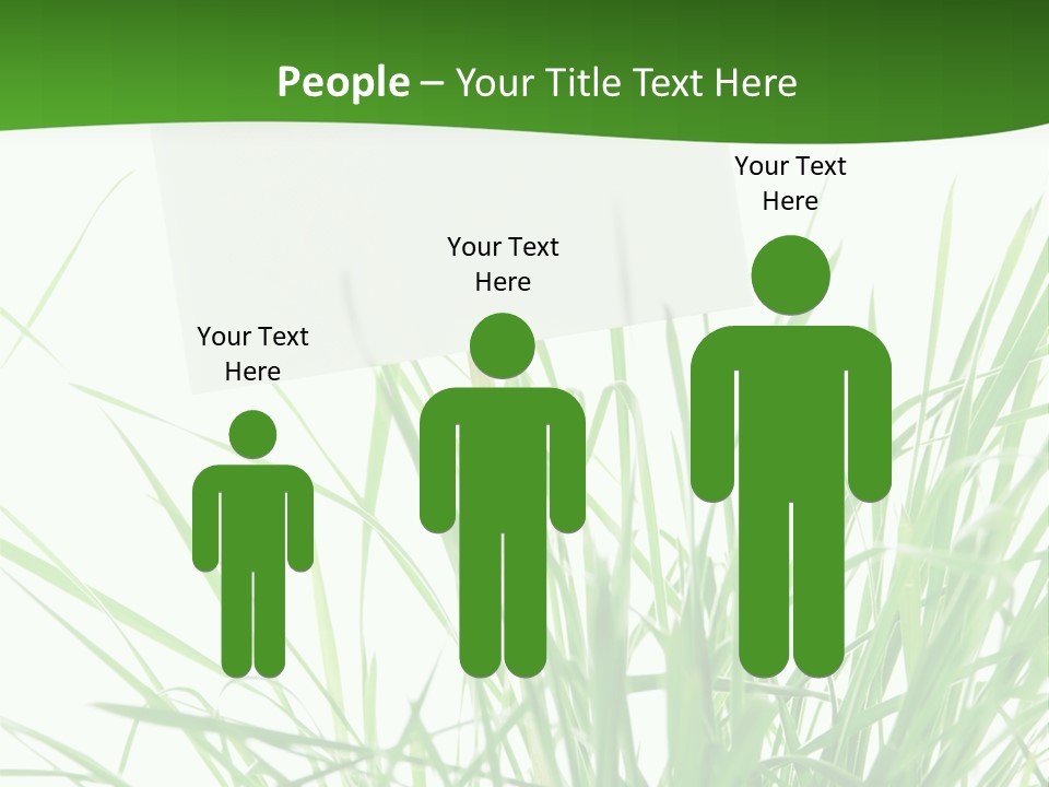 White Grass Dew PowerPoint Template