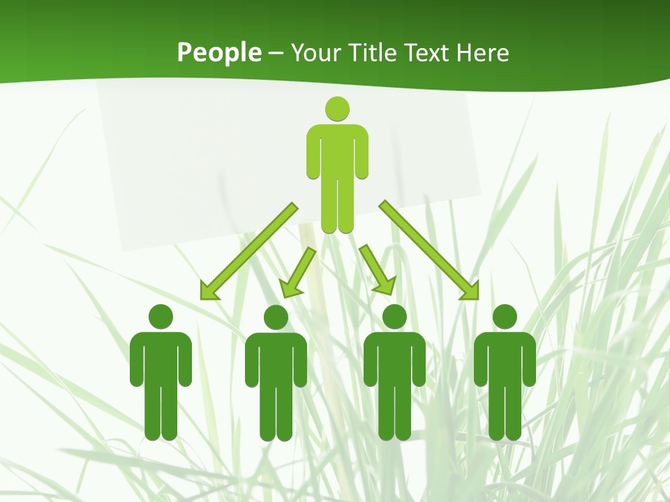 White Grass Dew PowerPoint Template