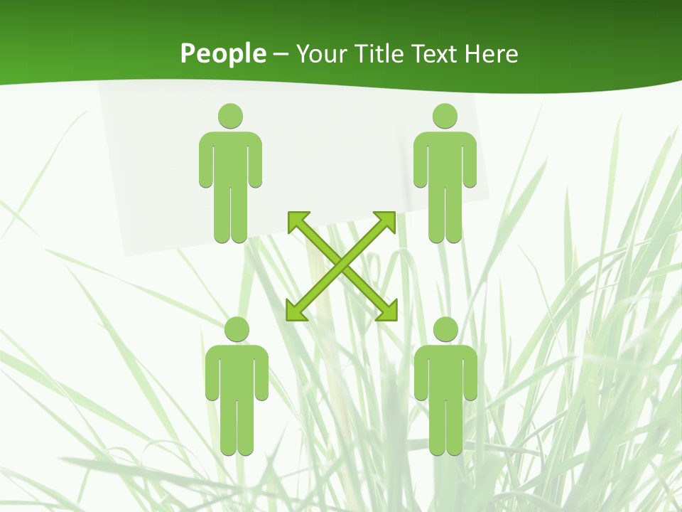 White Grass Dew PowerPoint Template