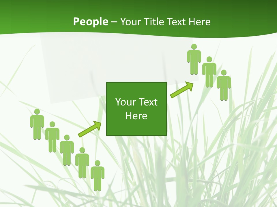 White Grass Dew PowerPoint Template