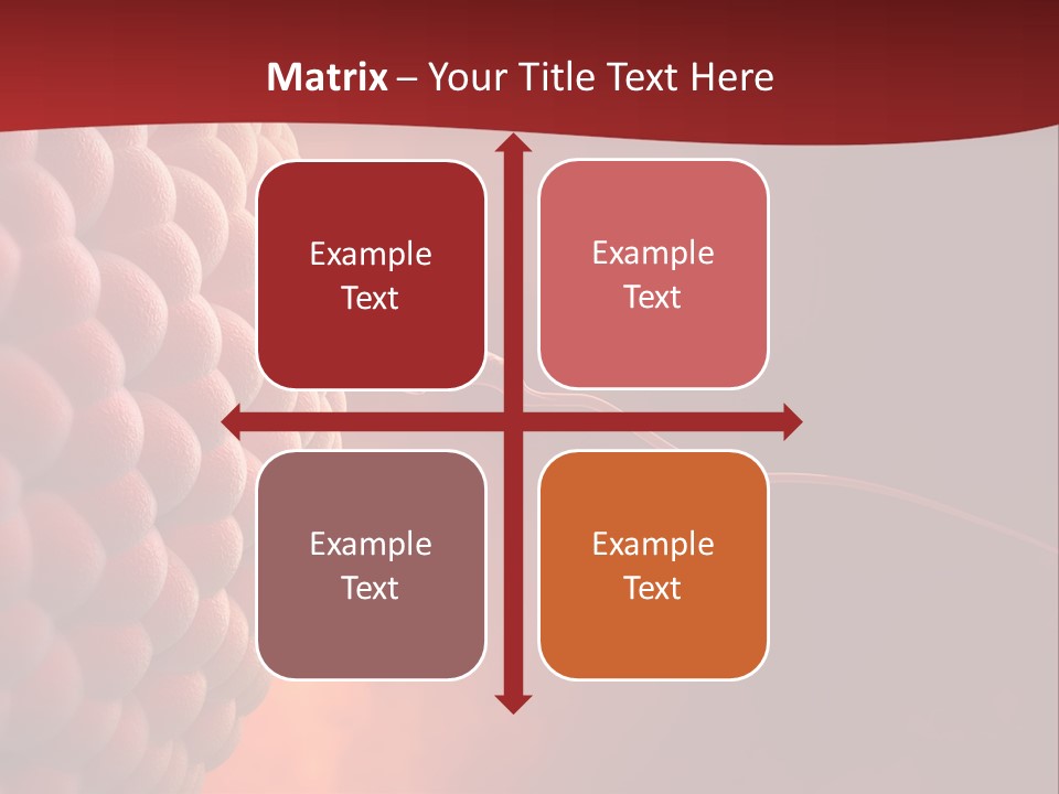 Procreation Research Gender PowerPoint Template