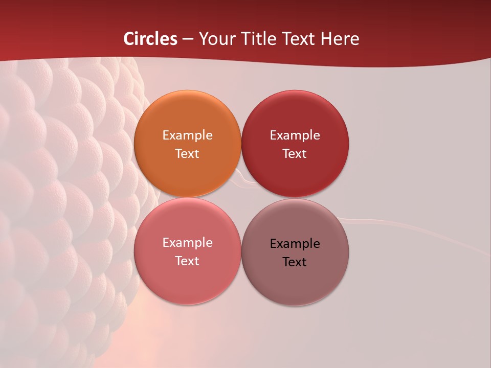 Procreation Research Gender PowerPoint Template