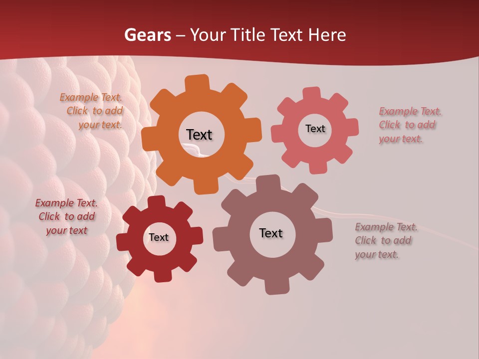 Procreation Research Gender PowerPoint Template