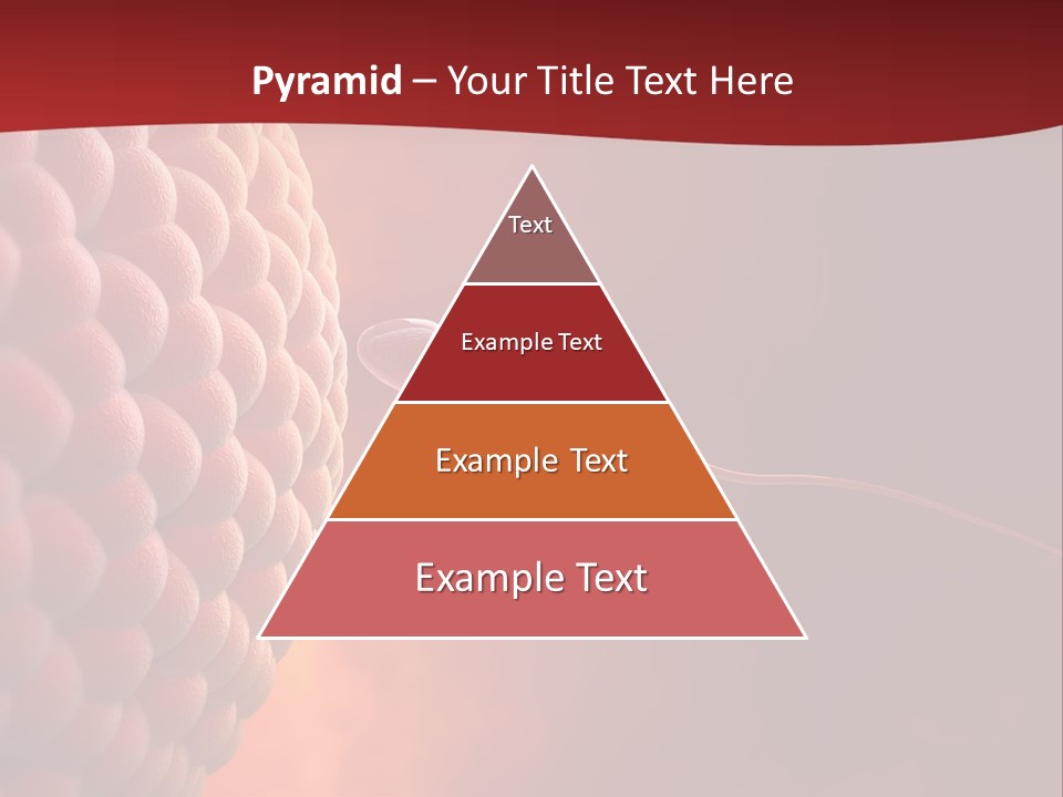 Procreation Research Gender PowerPoint Template