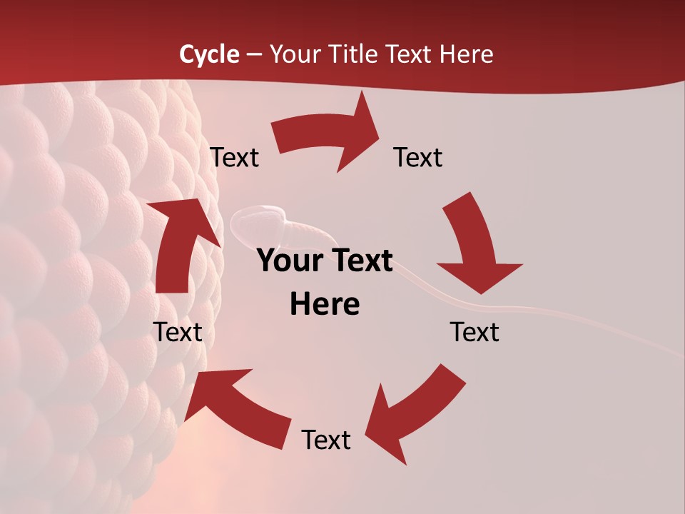 Procreation Research Gender PowerPoint Template
