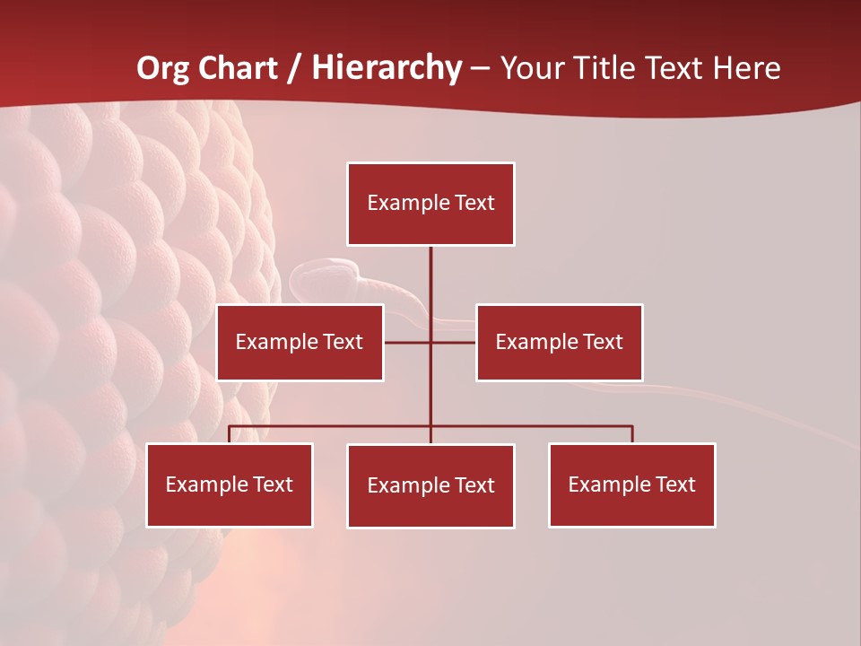 Procreation Research Gender PowerPoint Template