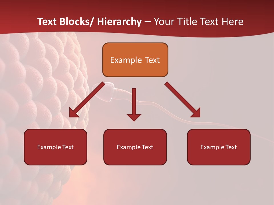 Procreation Research Gender PowerPoint Template