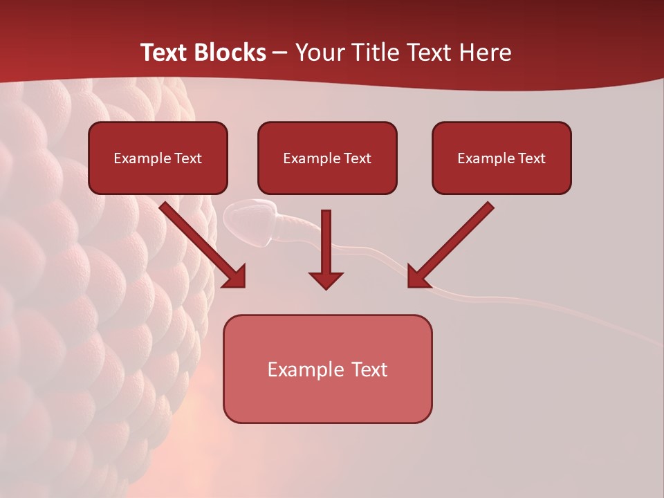 Procreation Research Gender PowerPoint Template