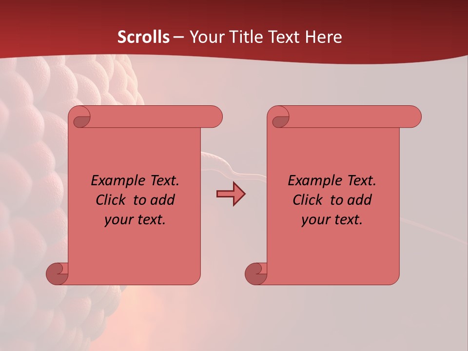 Procreation Research Gender PowerPoint Template