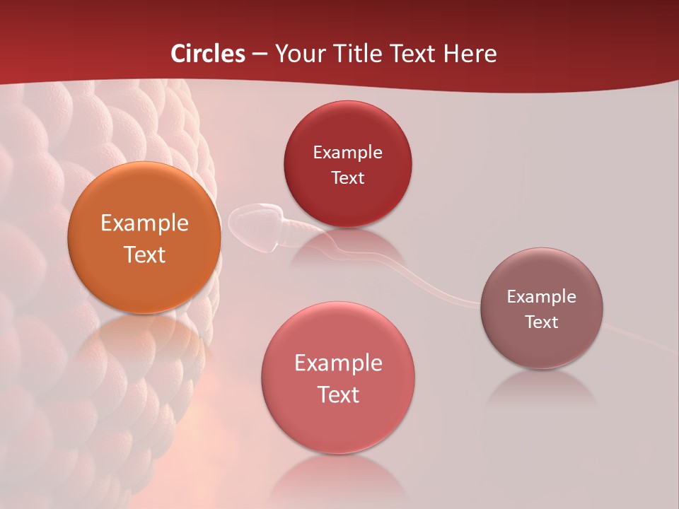 Procreation Research Gender PowerPoint Template