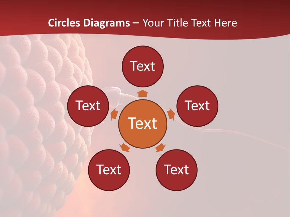 Procreation Research Gender PowerPoint Template