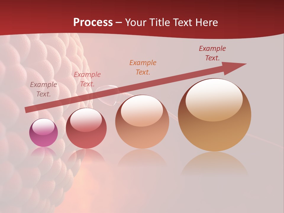 Procreation Research Gender PowerPoint Template