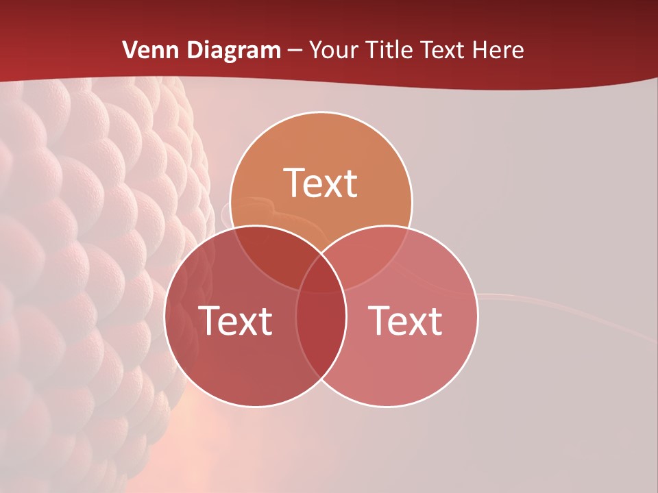 Procreation Research Gender PowerPoint Template