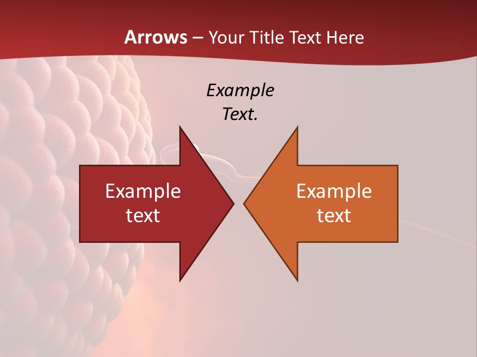 Procreation Research Gender PowerPoint Template