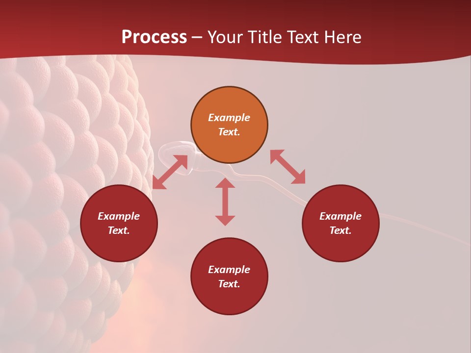 Procreation Research Gender PowerPoint Template