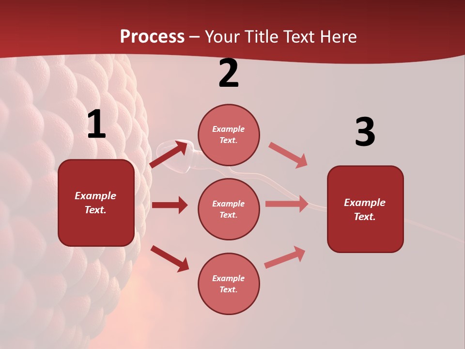 Procreation Research Gender PowerPoint Template