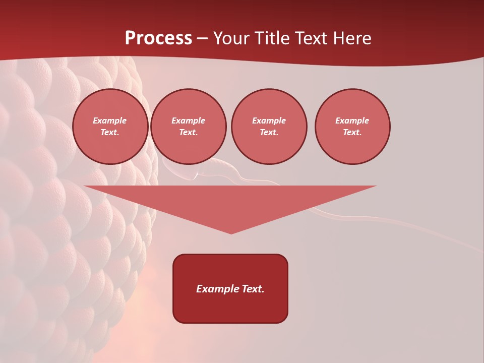 Procreation Research Gender PowerPoint Template