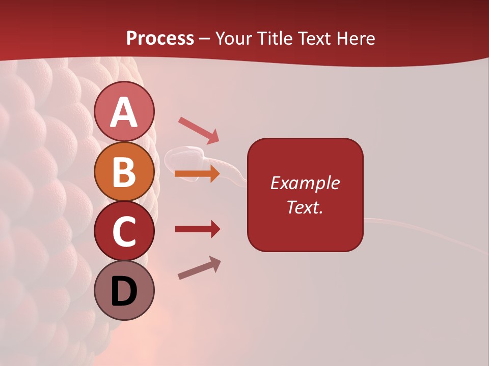 Procreation Research Gender PowerPoint Template