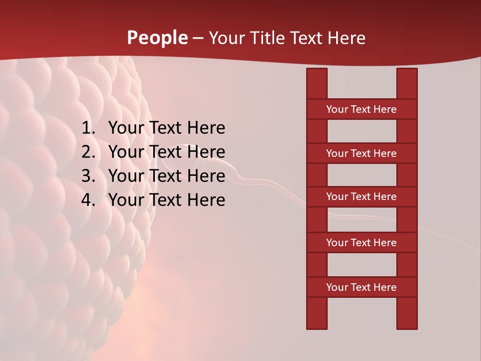 Procreation Research Gender PowerPoint Template