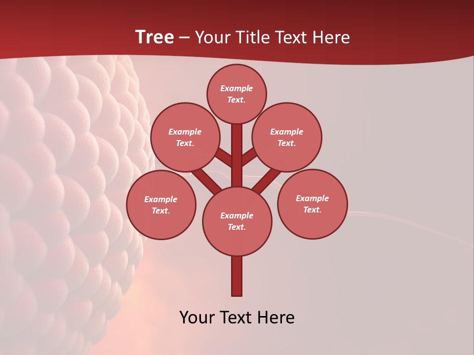 Procreation Research Gender PowerPoint Template