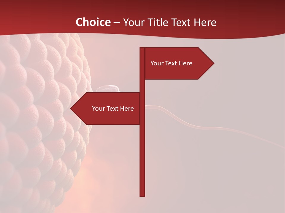 Procreation Research Gender PowerPoint Template