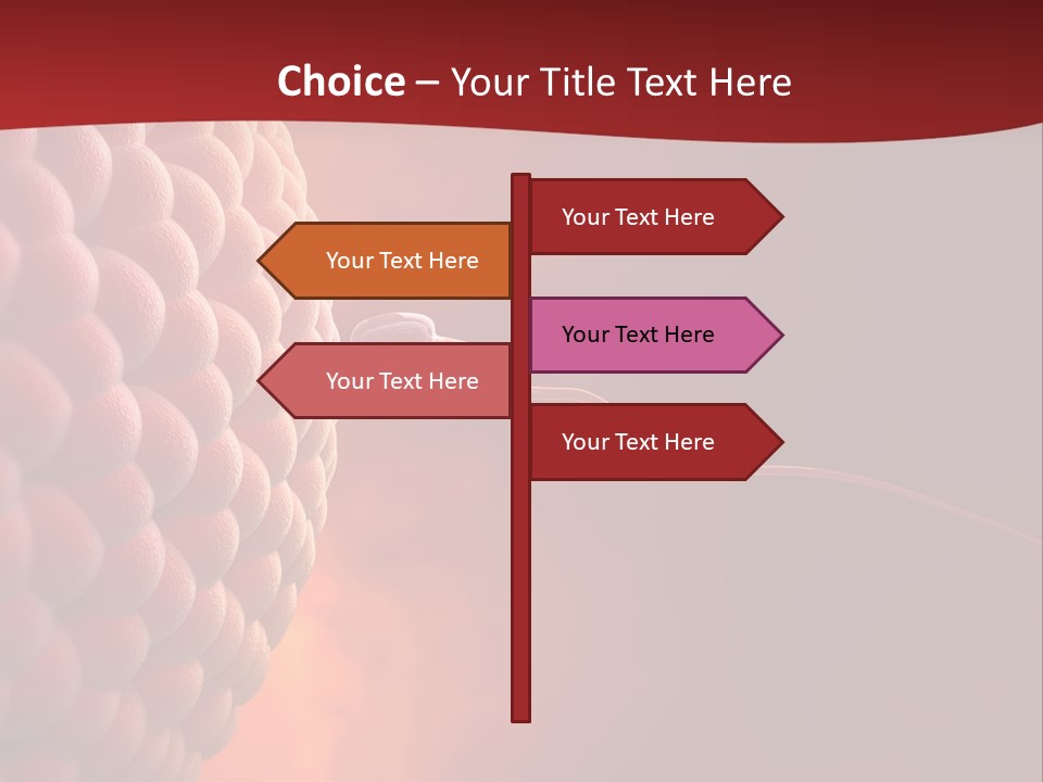 Procreation Research Gender PowerPoint Template