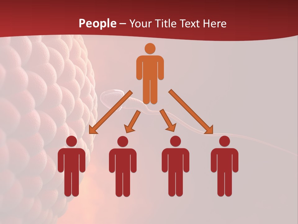 Procreation Research Gender PowerPoint Template