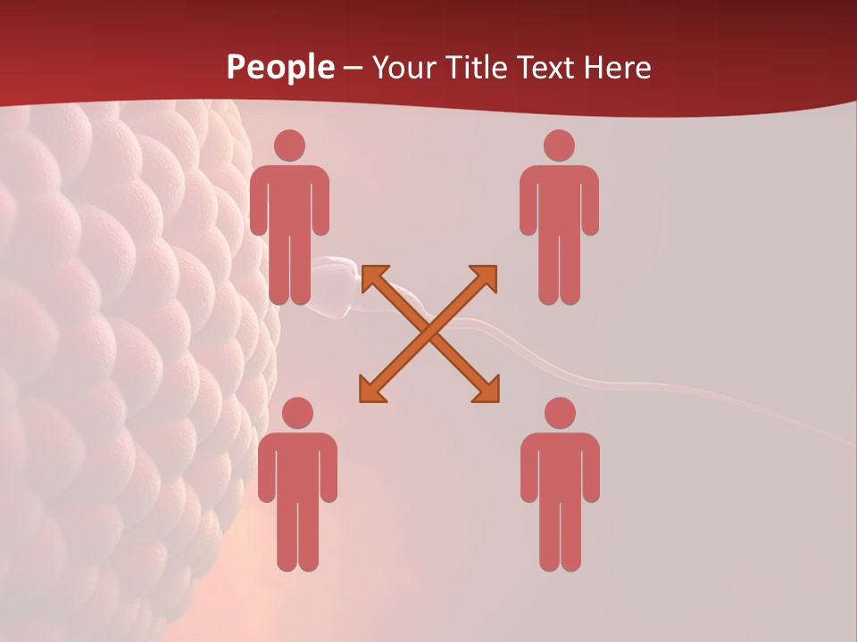 Procreation Research Gender PowerPoint Template