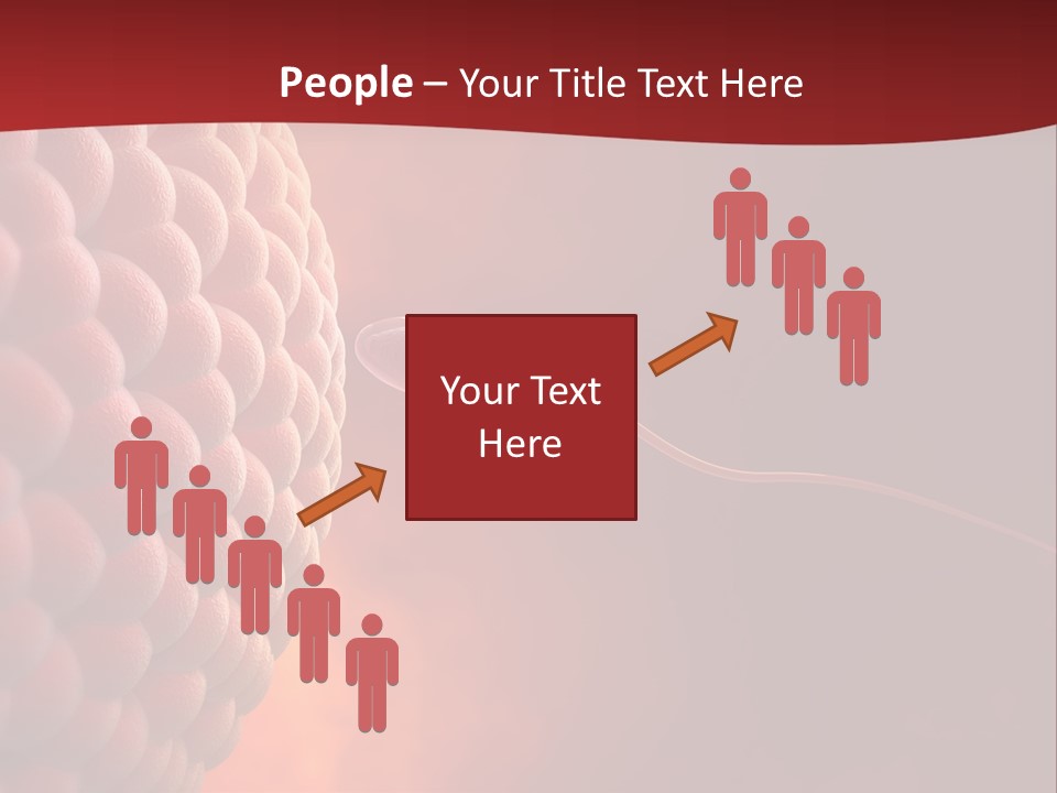 Procreation Research Gender PowerPoint Template