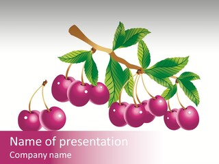 A Bunch Of Cherries On A Branch With Leaves PowerPoint Template