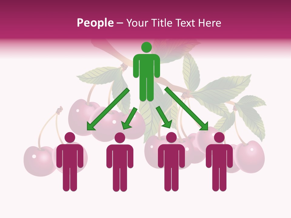 A Bunch Of Cherries On A Branch With Leaves PowerPoint Template