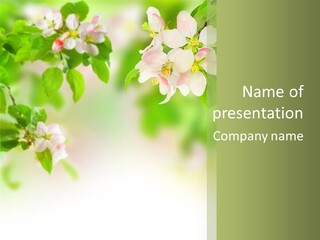 Closeup Bloom Gardening PowerPoint Template