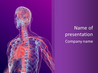 Anatomy Health Xray PowerPoint Template