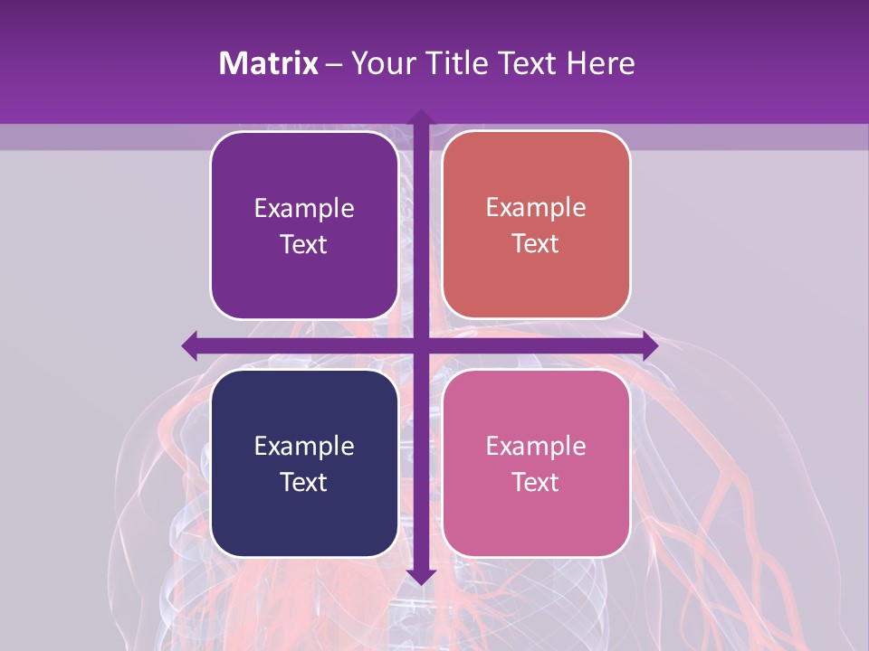 Anatomy Health Xray PowerPoint Template