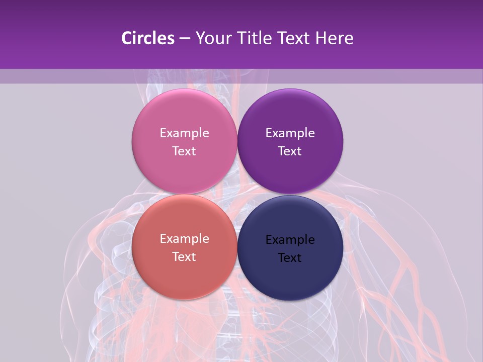 Anatomy Health Xray PowerPoint Template