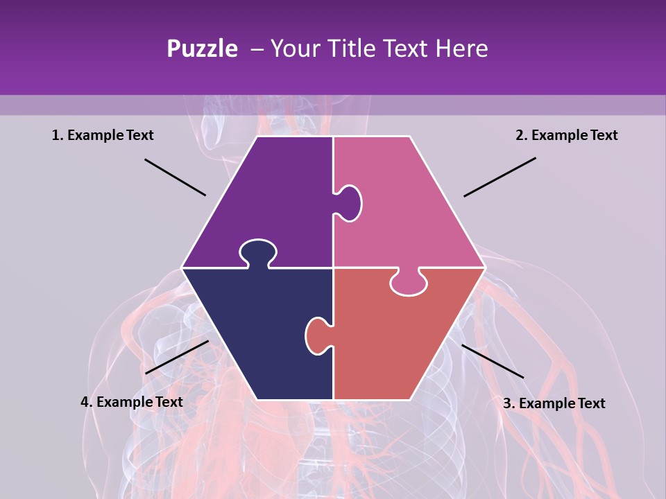 Anatomy Health Xray PowerPoint Template