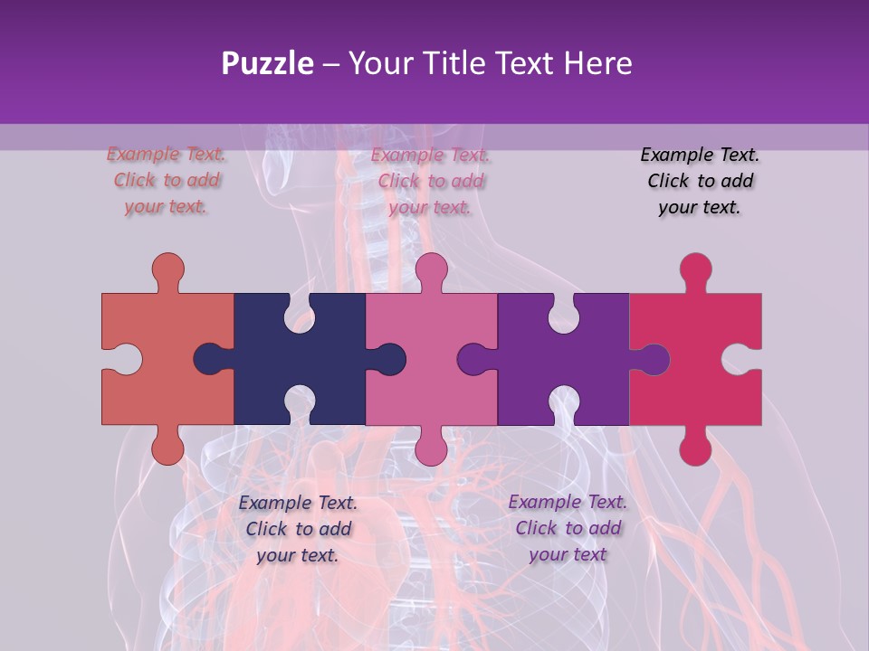 Anatomy Health Xray PowerPoint Template