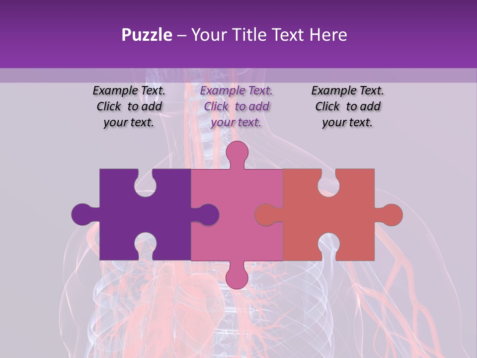 Anatomy Health Xray PowerPoint Template