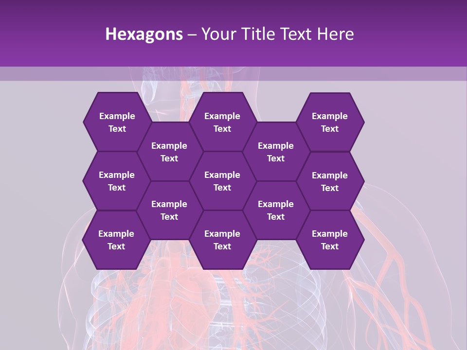 Anatomy Health Xray PowerPoint Template